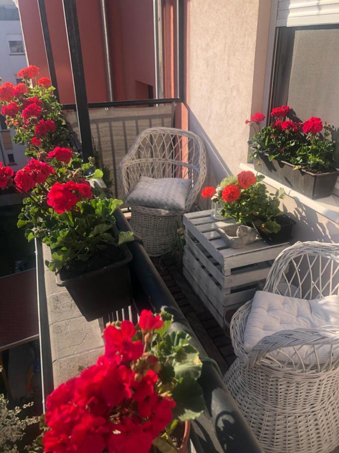 Barbara'S Apartment 布达佩斯 外观 照片